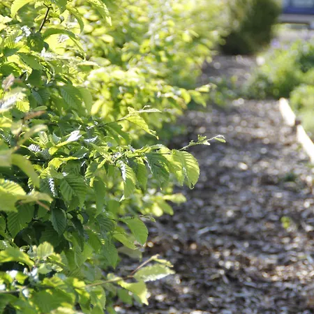 Franck Garni 3* Brietlingen