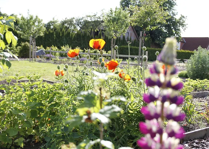 Franck Garni 3* Brietlingen